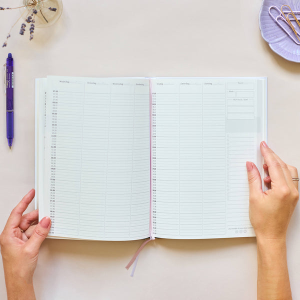 Medium planner Mandala