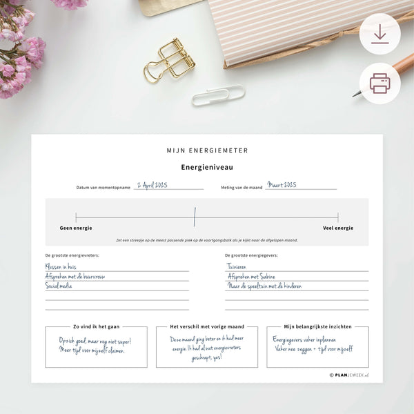 Printable - Reflectie met energiemeter per maand