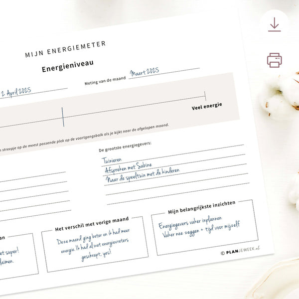 Printable - Reflectie met energiemeter per maand