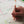 Weekplanner A4 planboek Lotus